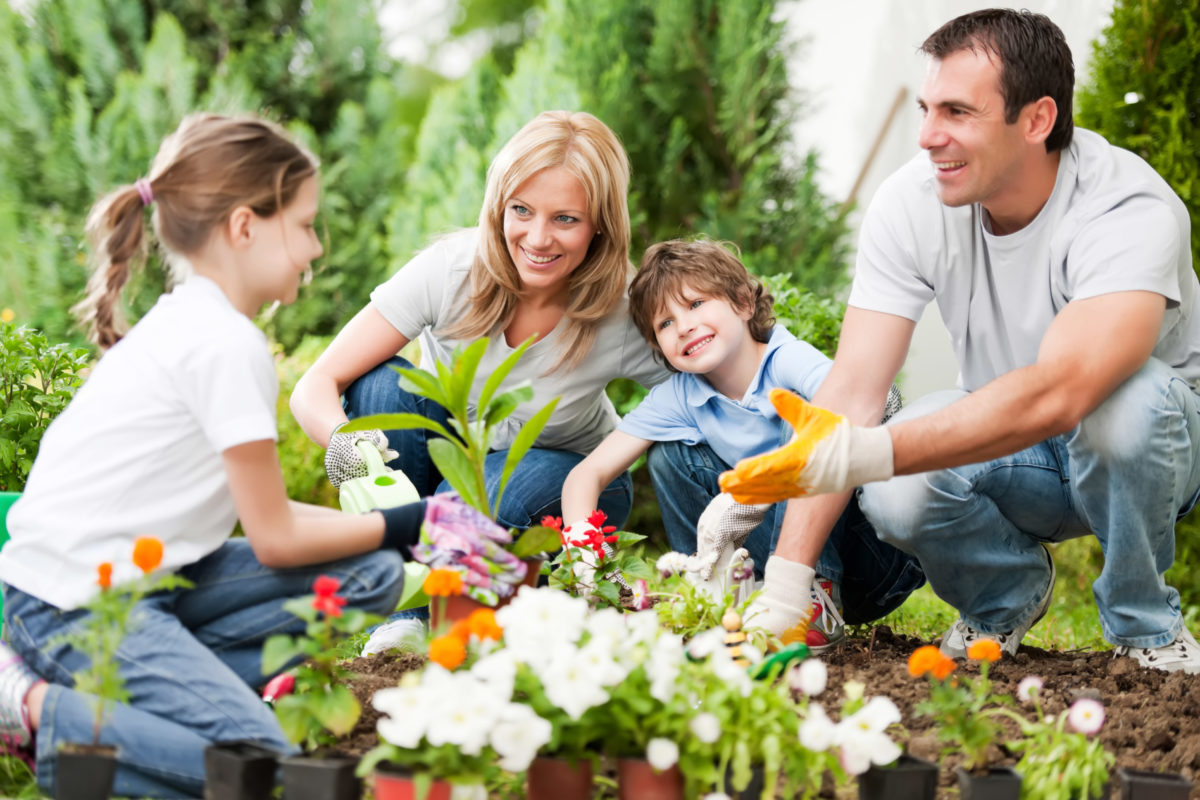why did we ditch our boring grass lawn for a veggie jungle?