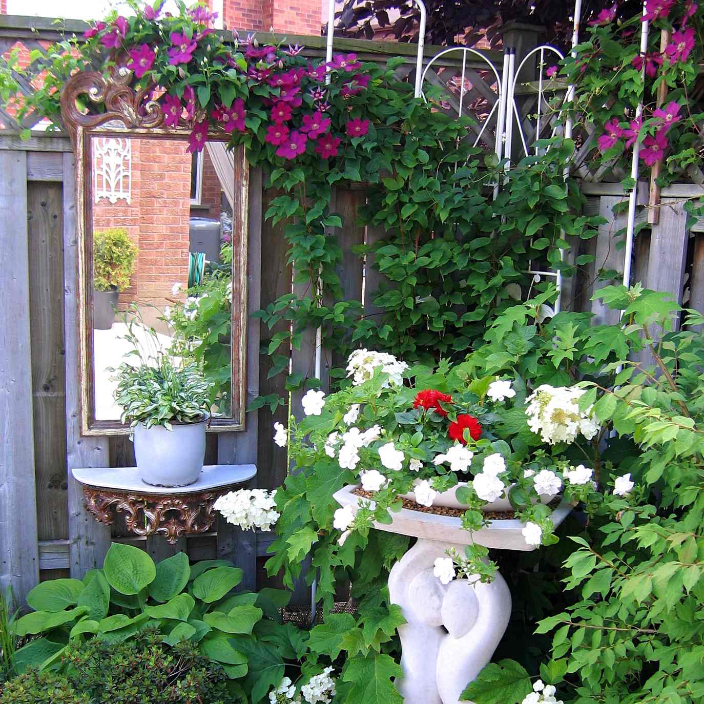 why did i put a giant mirror behind my roses and what happened next