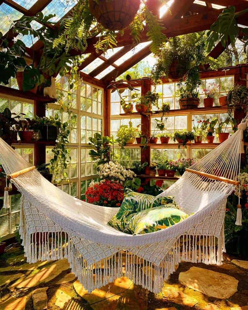 why did my backyard turn into a candy house after i built a greenhouse?