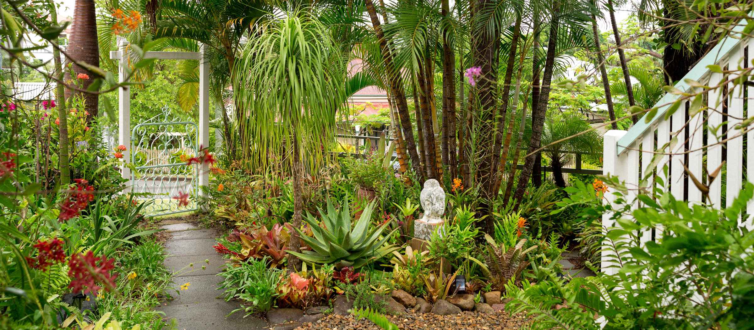 how did my brisbane front yard turn into a flower jungle overnight?