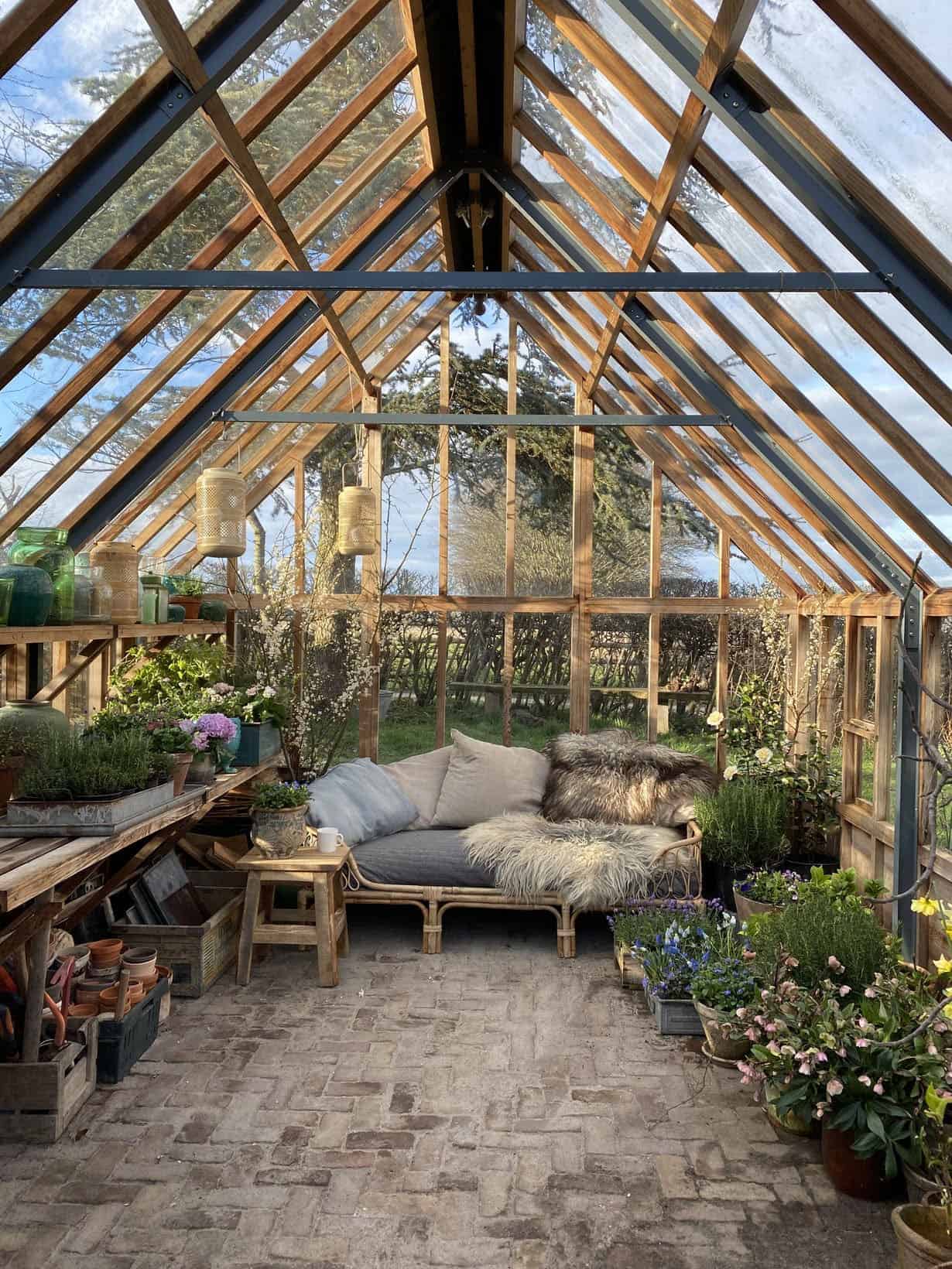 why did i risk my tiny greenhouse’s life for fresh tomatoes?