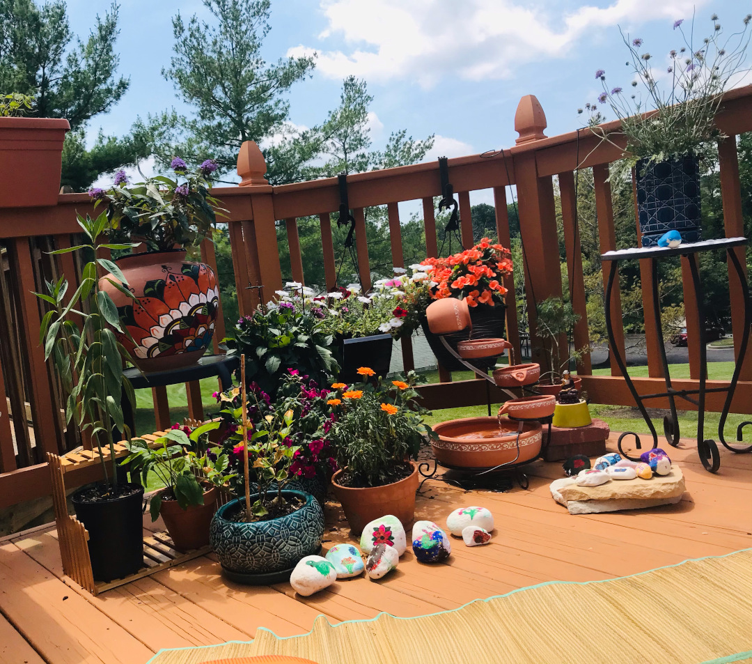 how i turned my tiny balcony into a butterfly paradise—can you believe it?