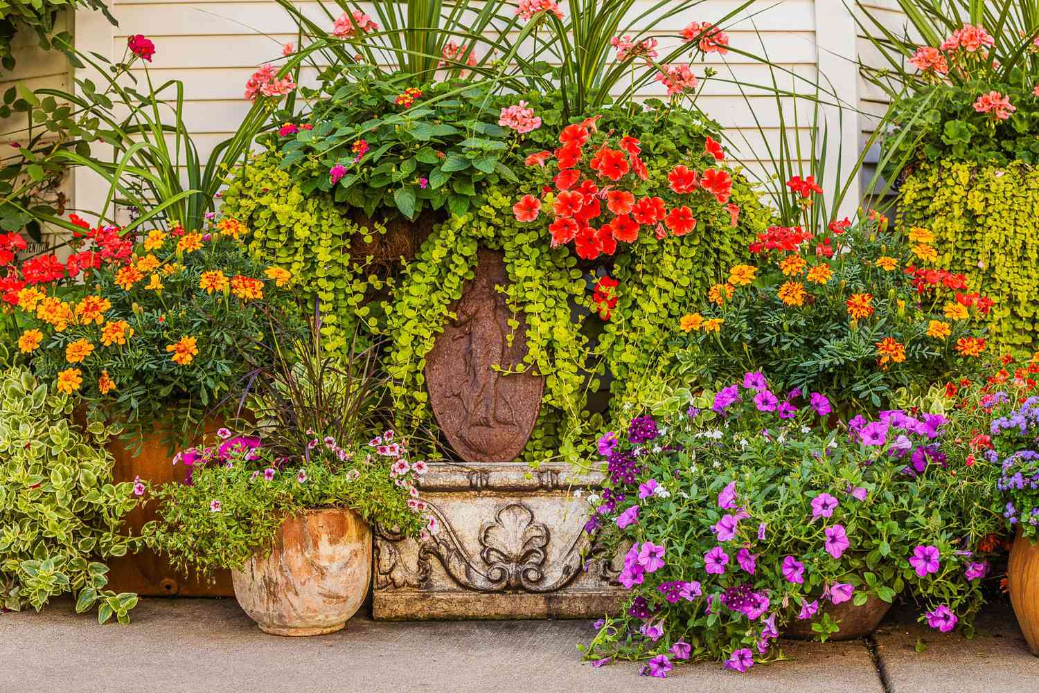 why did nobody tell me these garden hacks make plants thrive?