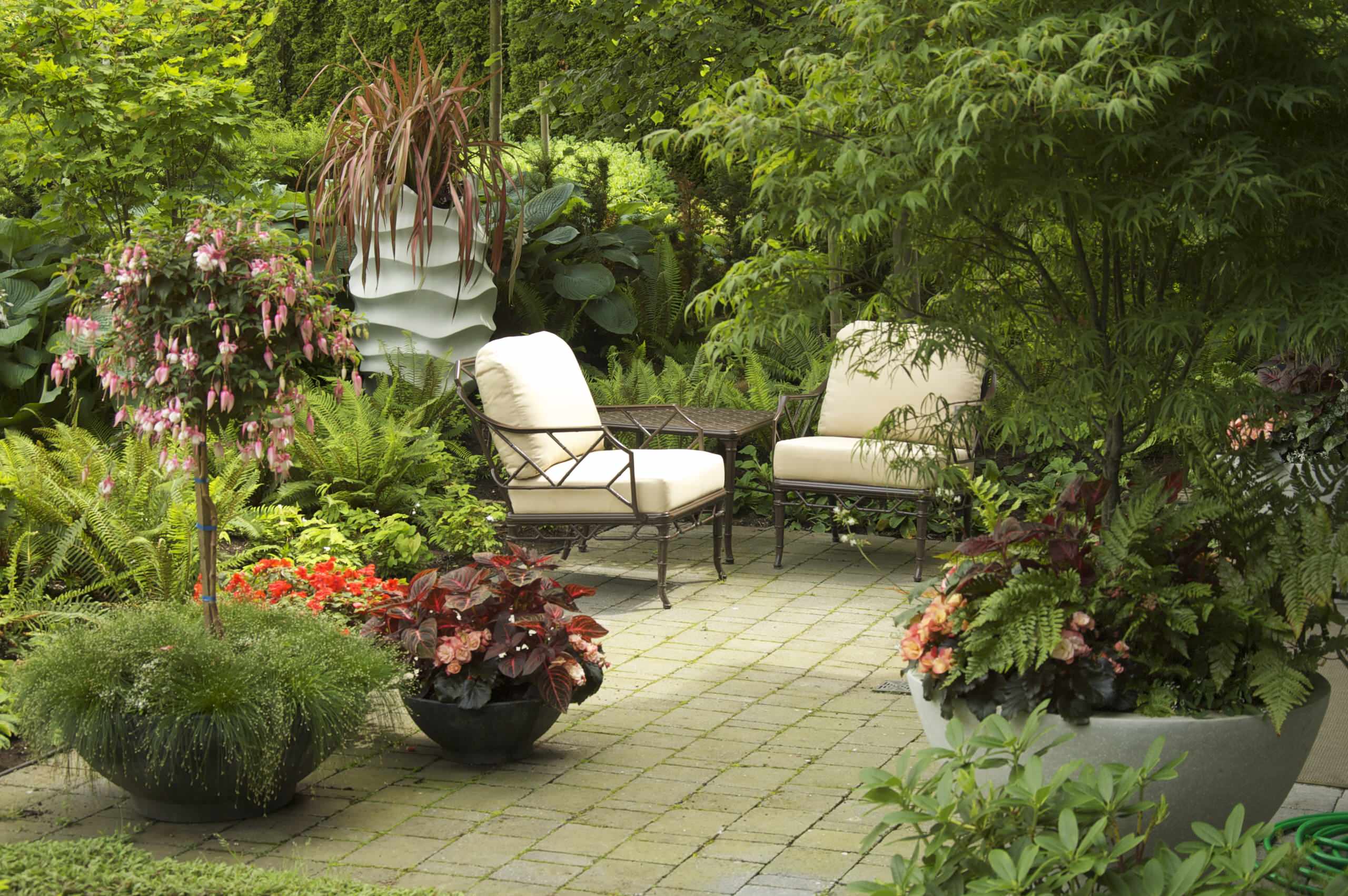 how did my tiny patio turn into a dreamy jungle escape overnight?