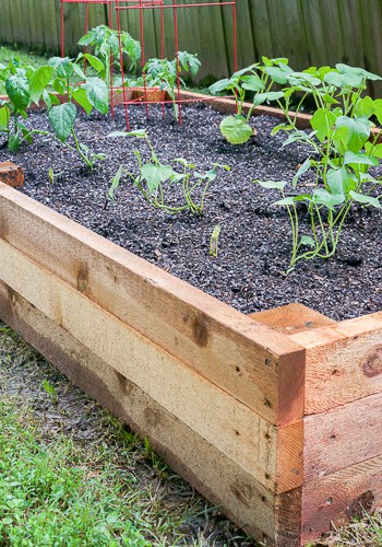 can i actually build epic garden beds without buying kits?