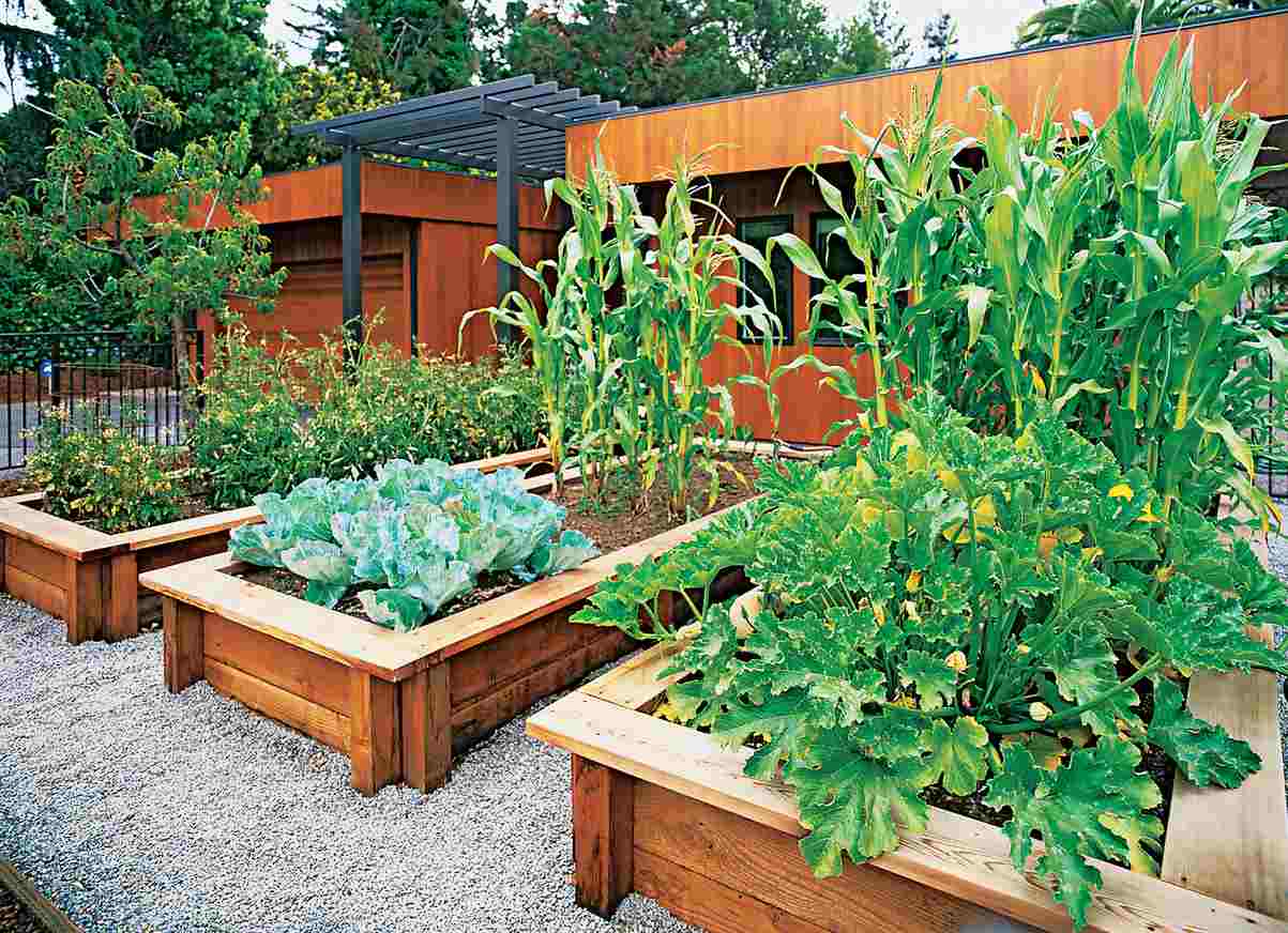is miami shores really banning front yard veggies for flowers?