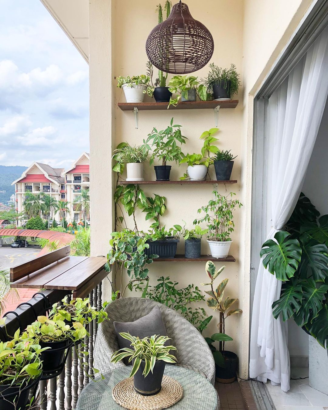 how did i turn a boring balcony into a plant paradise so fast?