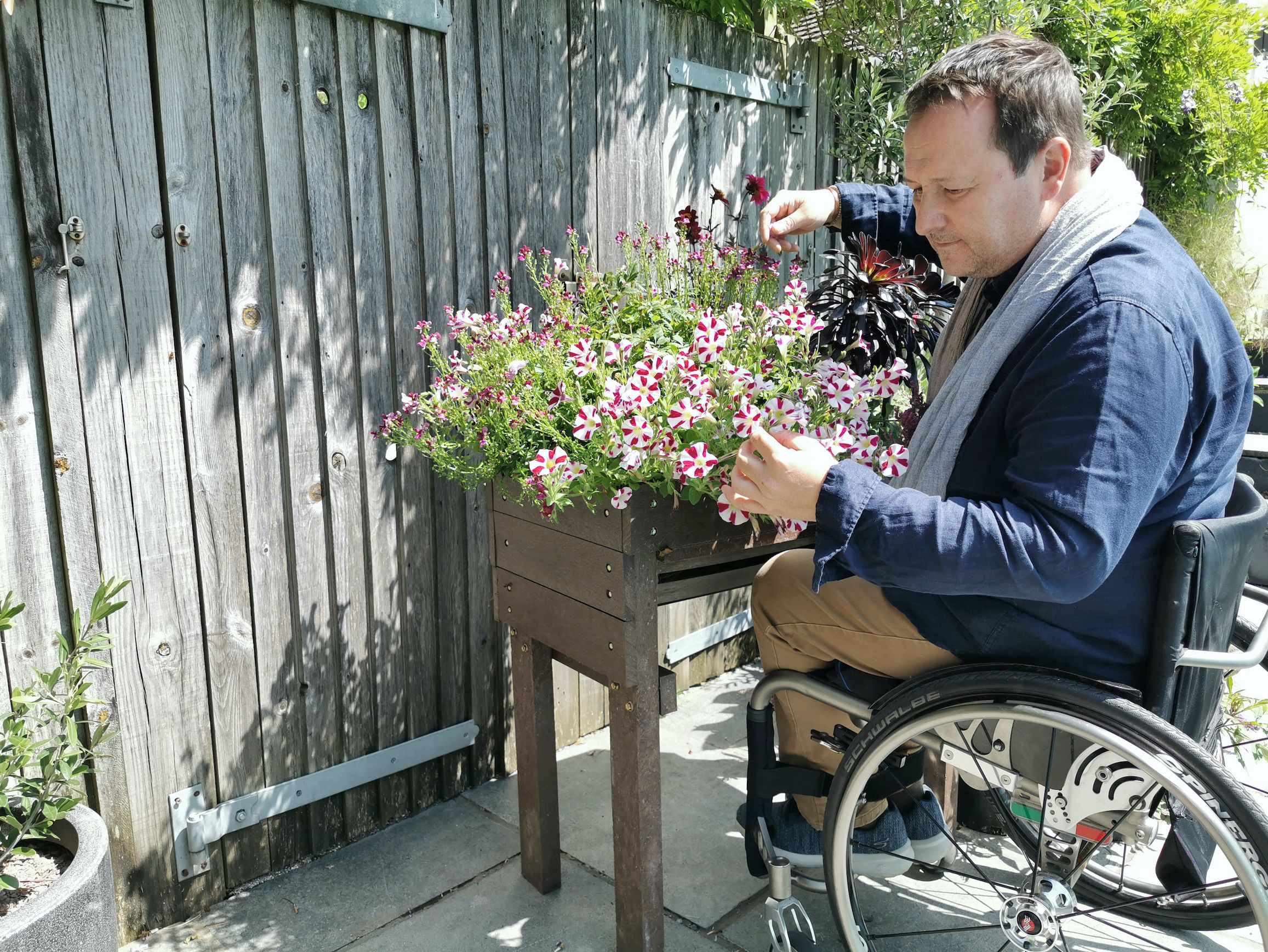 how did a wheelchair user turn a tiny balcony into a green jungle?