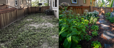 how did i turn my wild backyard into a chill green paradise?