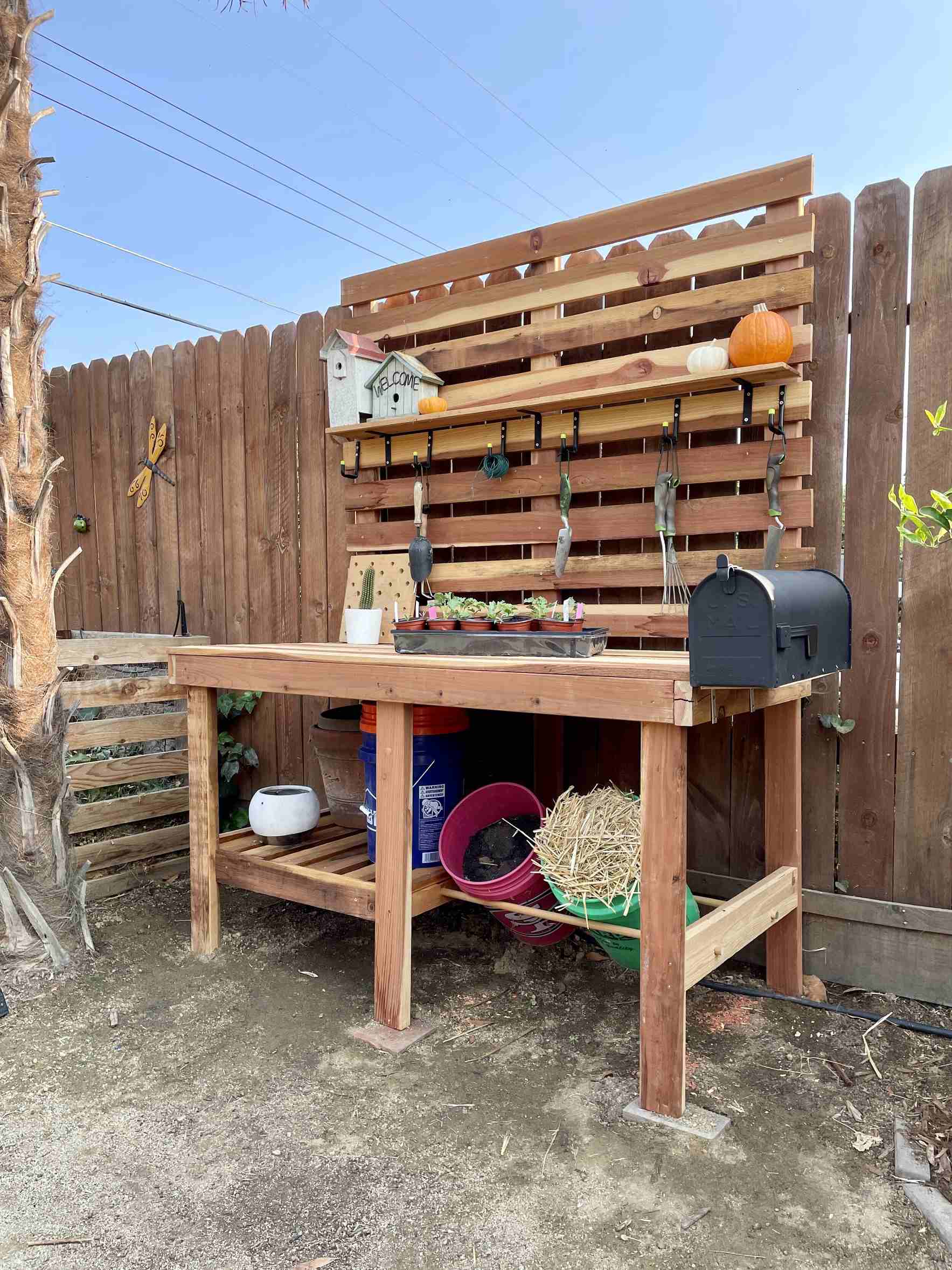 did i just unlock the secret to happy plant life with a diy bench?
