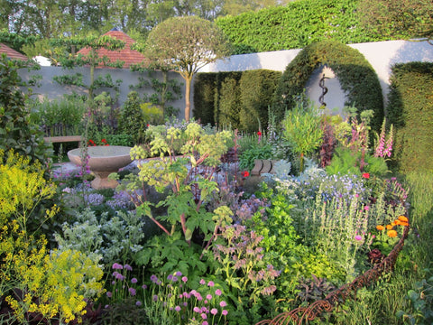 why does my tiny backyard feel like a secret paradise now?