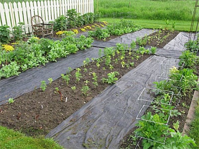 why did i think plastic sheets would save my backyard project?