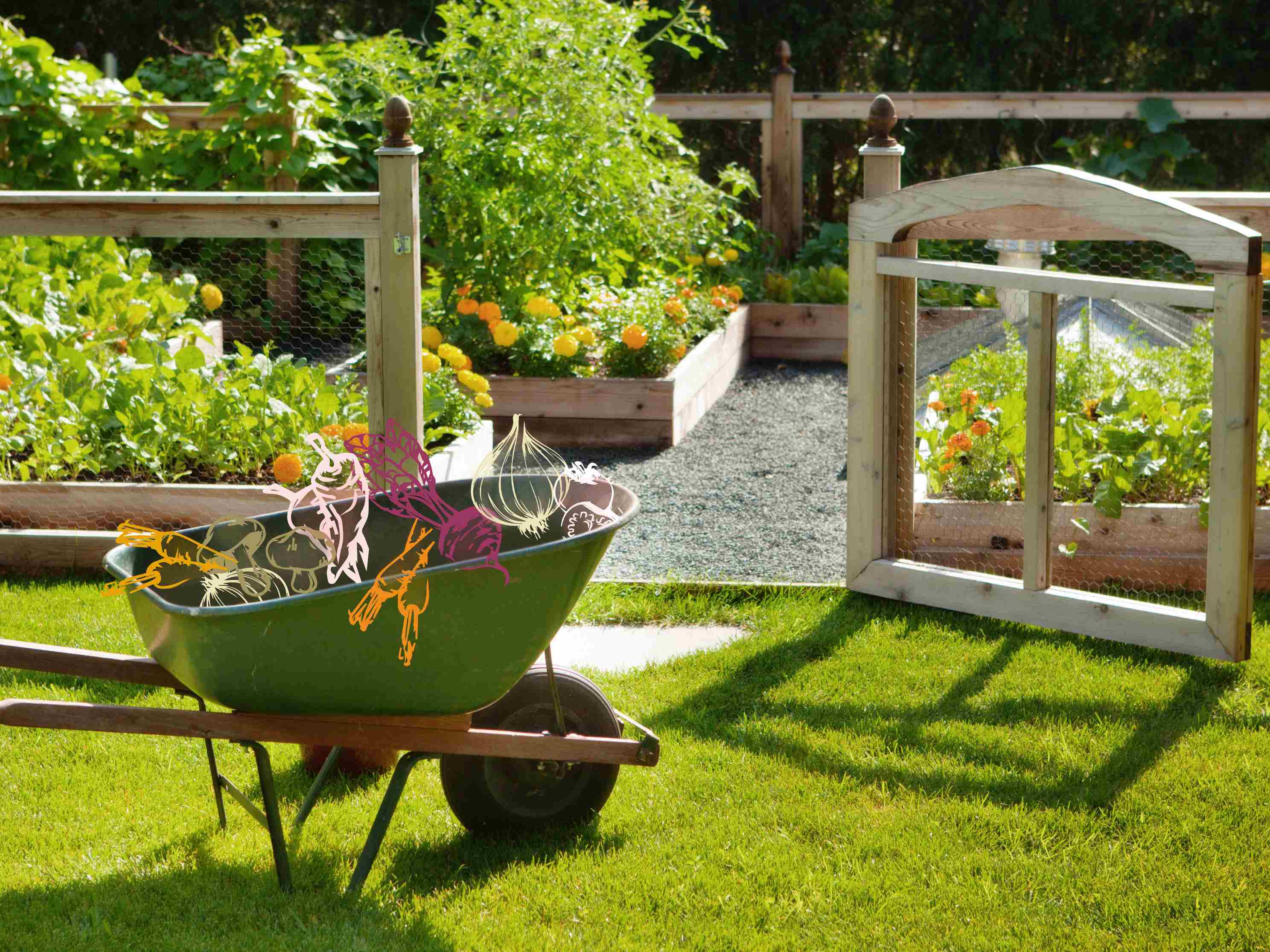 did i just turn my backyard into a veggie paradise by accident?