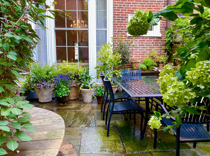 how did i turn a tiny philly backyard into a veggie paradise?