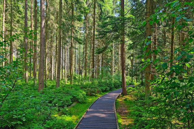 Sweating it out: my battle with Mid-Atlantic heat and Lyme paranoia