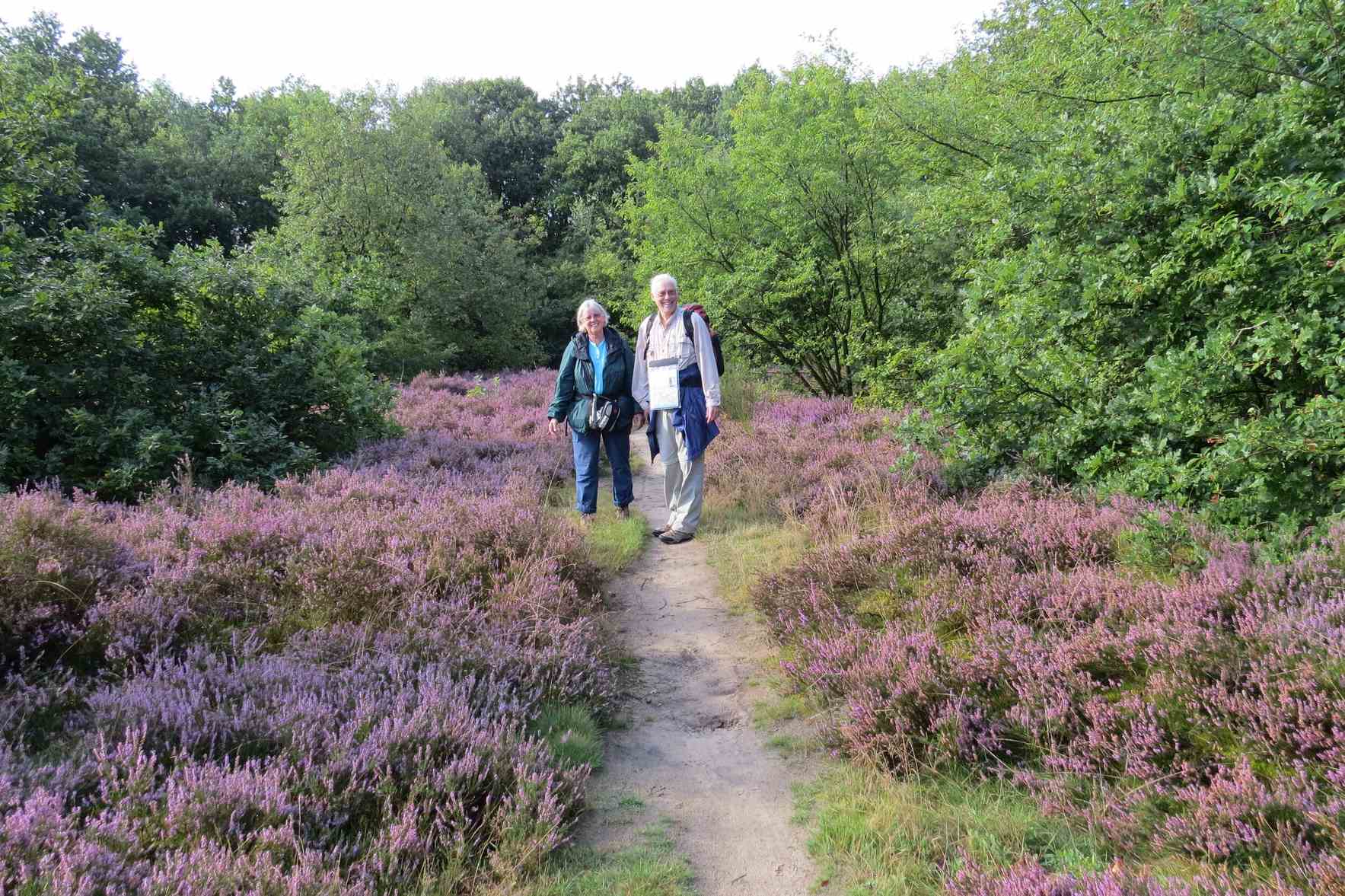 How a Dutch countryside hike nearly ruined my friendship