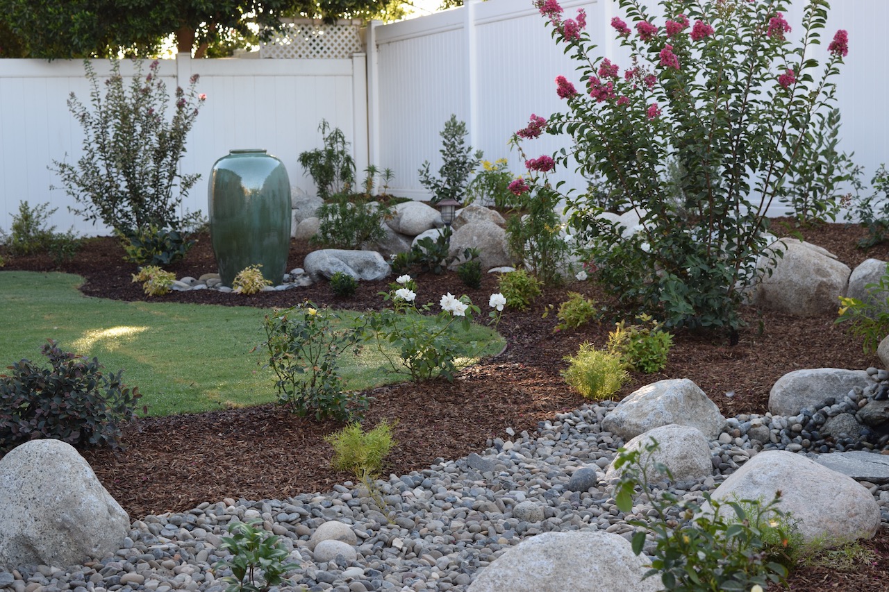 how did my backyard go from sad dirt patch to veggie paradise?