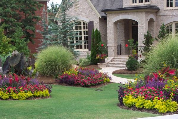 how did this neighbor’s garden become my daily obsession?