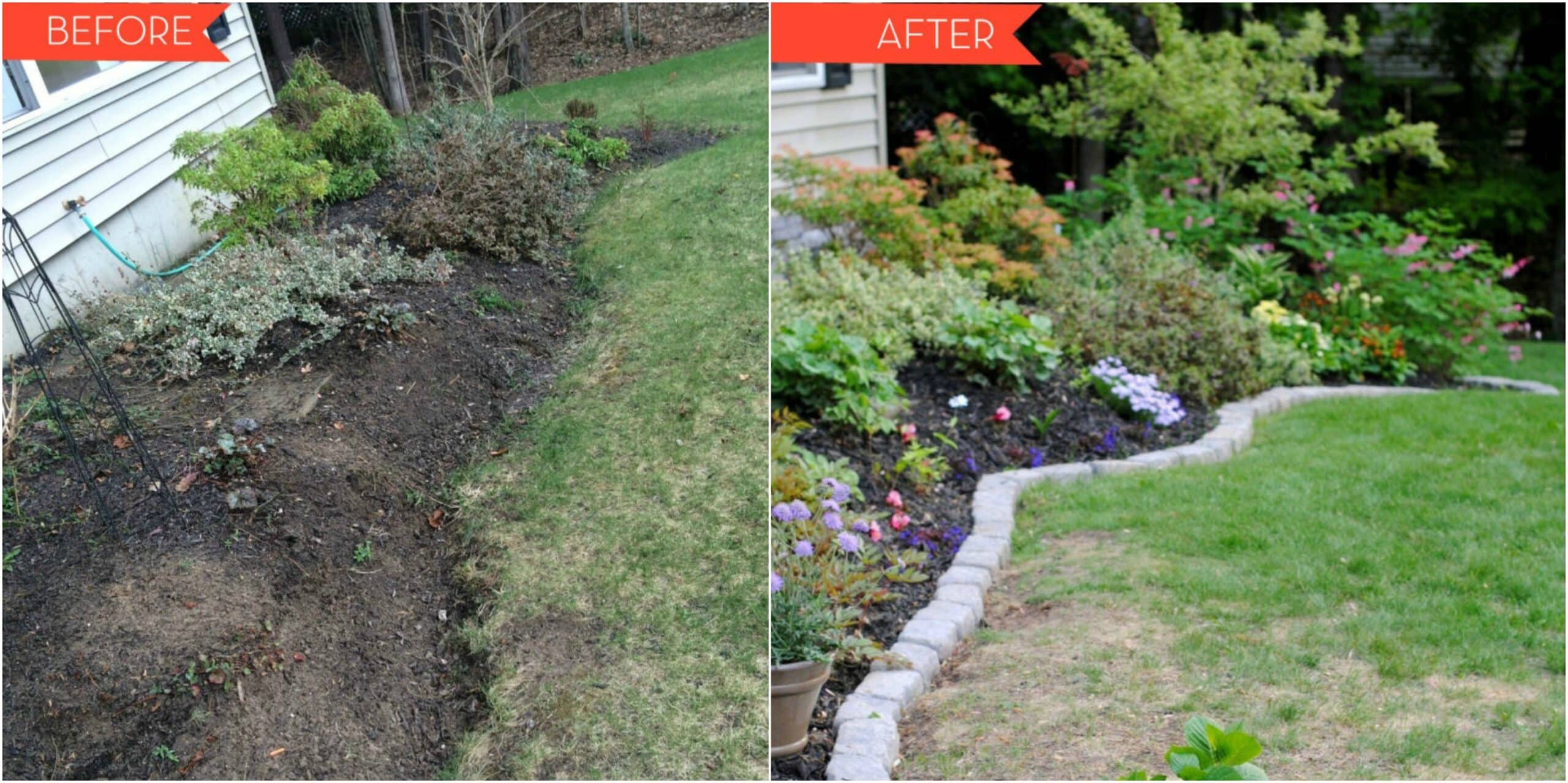 how did my wild backyard dream turn into a blooming paradise?