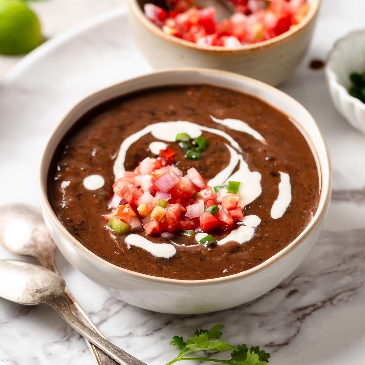 Struggling for the Perfect Black Bean Soup Hue