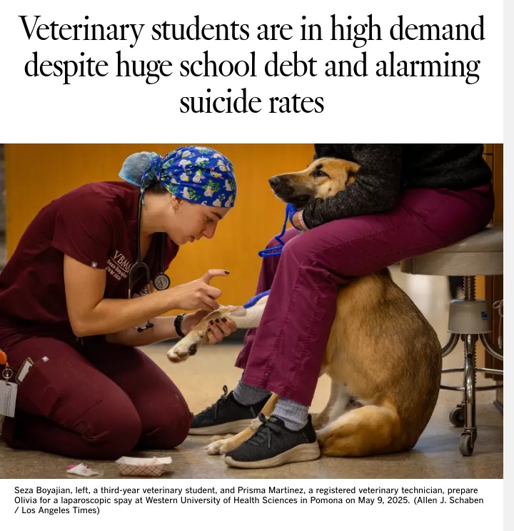 Why Vets Are Burning Out Fast