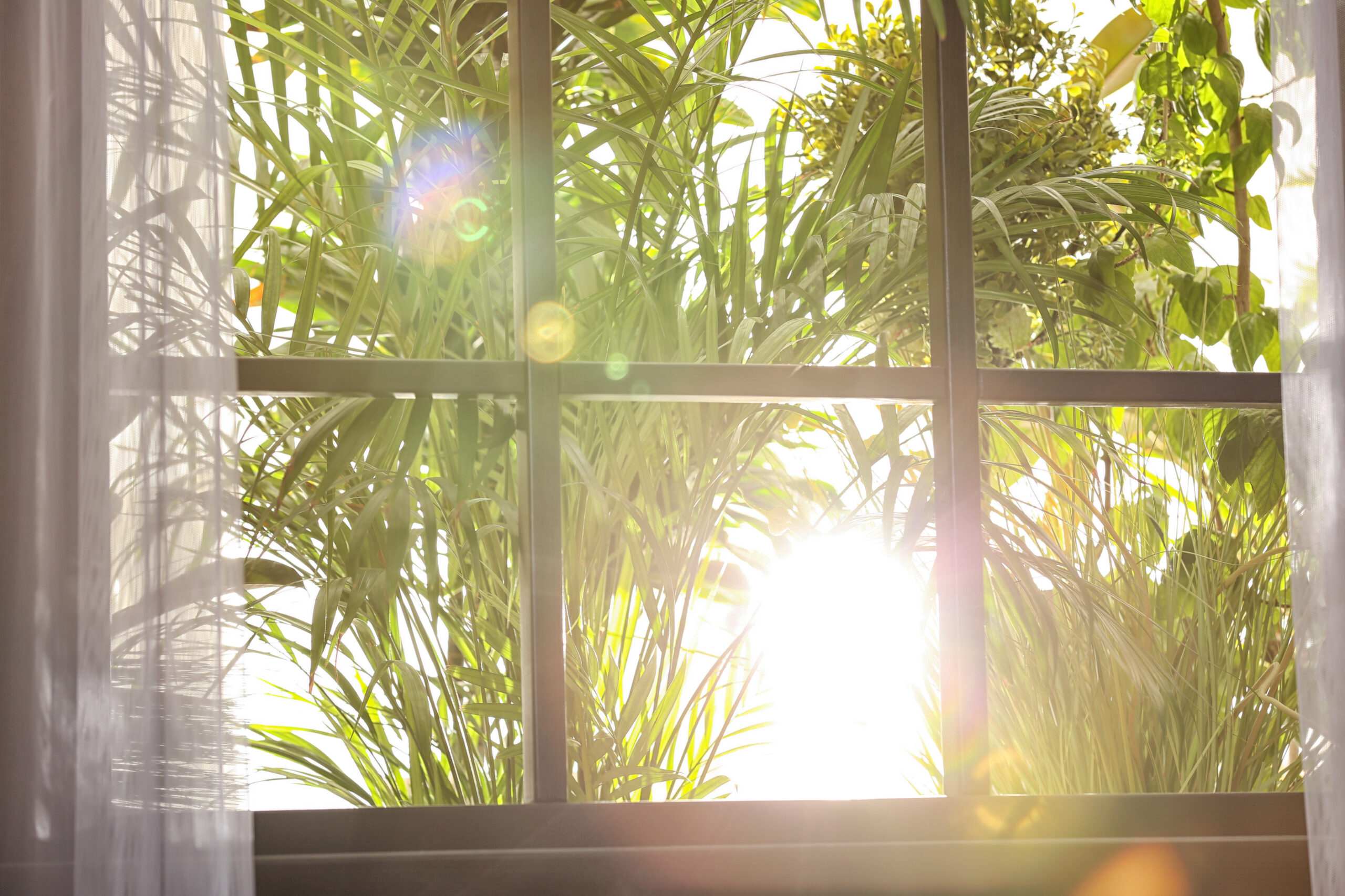 Why Do Mornings Feel So Much Brighter Than Evenings?
