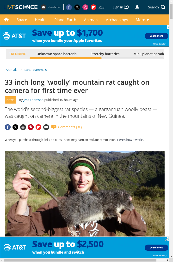 Giant 'Woolly' Rat Finally Caught on Camera!