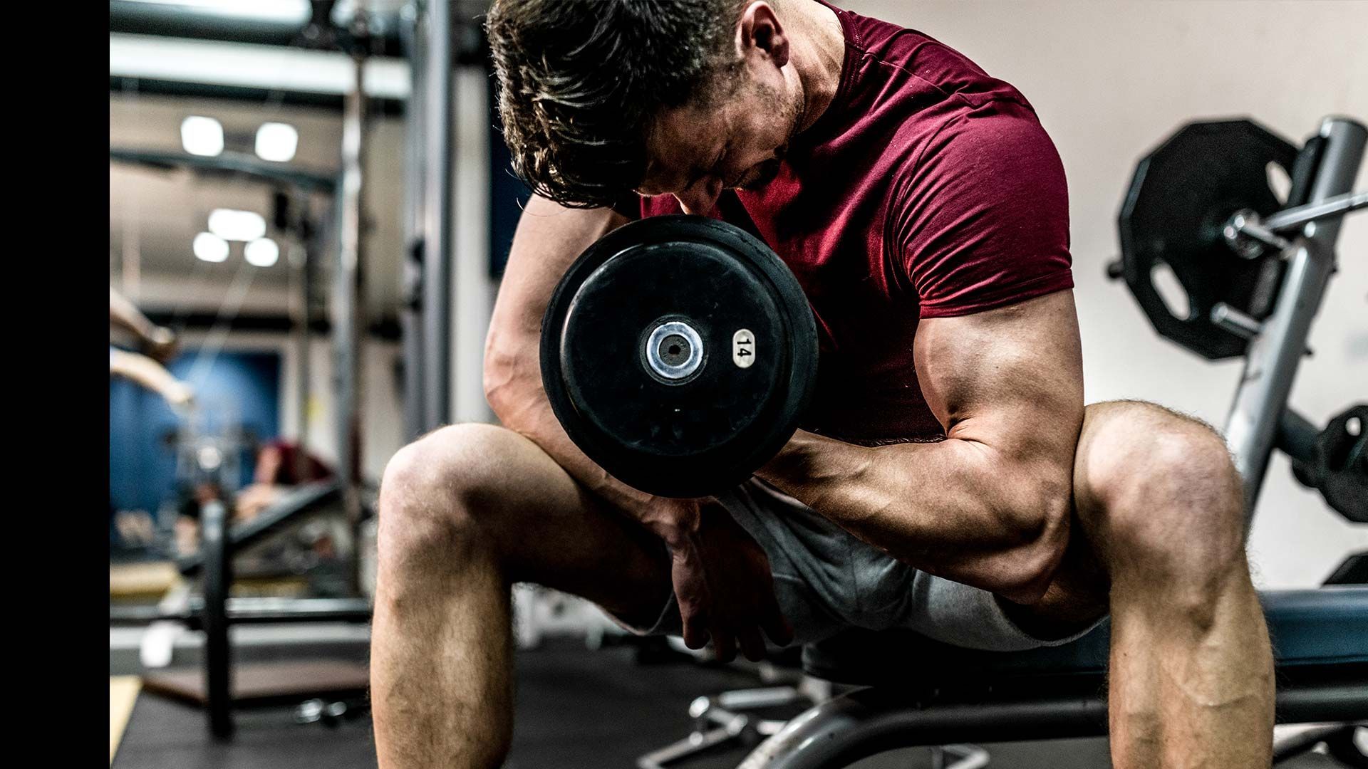 Muscle Gains Without the Fluff