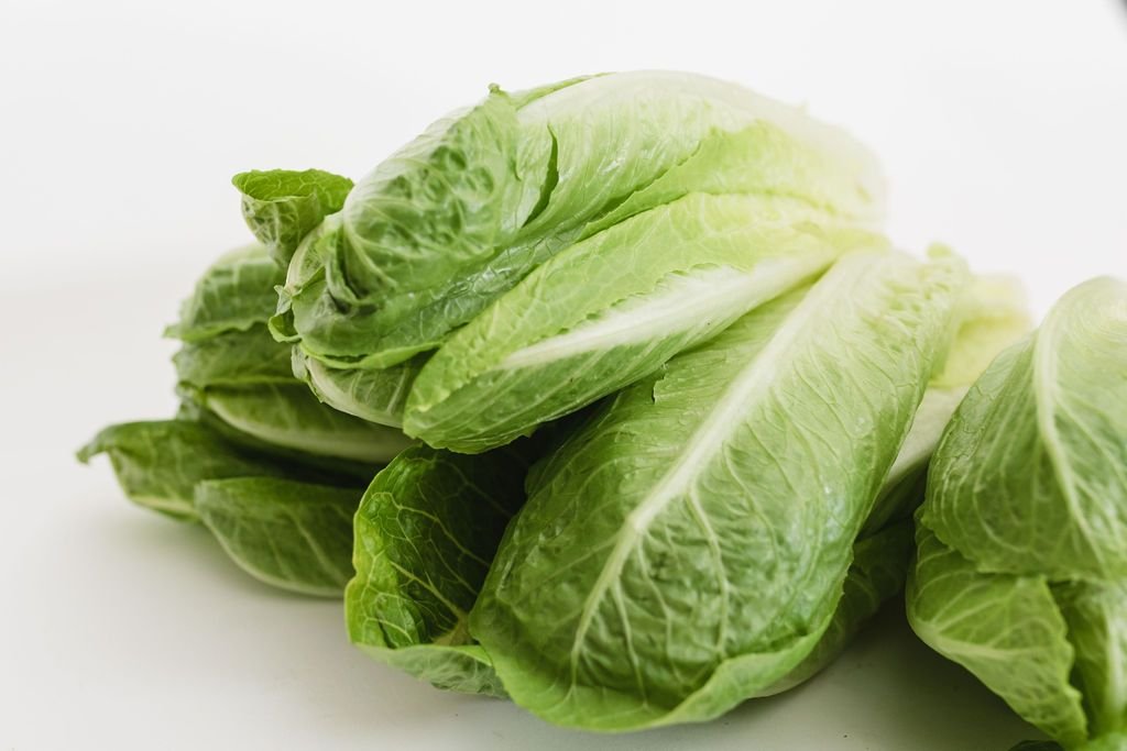 Lettuce Wars: What’s Actually Burger-Perfect?