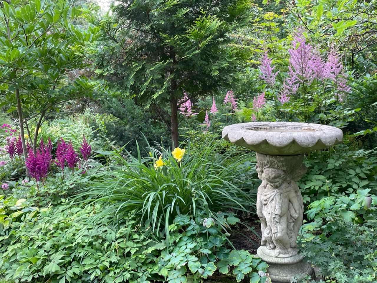 would you choose the wild birdbath or the zen waterfall for your backyard oasis?