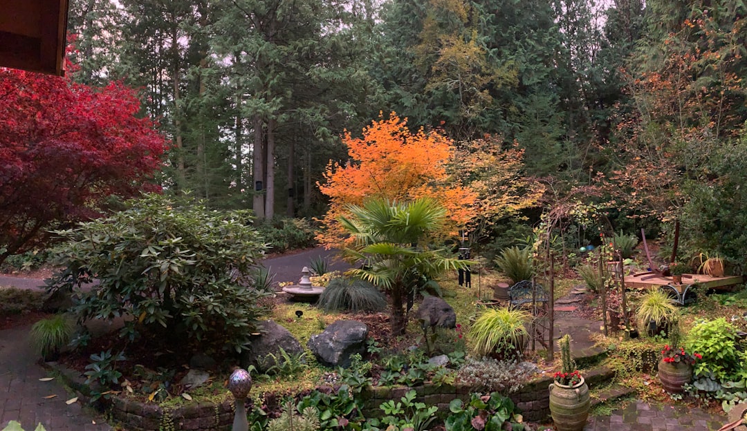 how did i turn my tiny backyard into a secret paradise oasis?