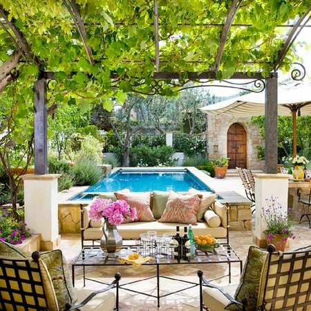 did scrubbing my patio deck actually make my plants happier?