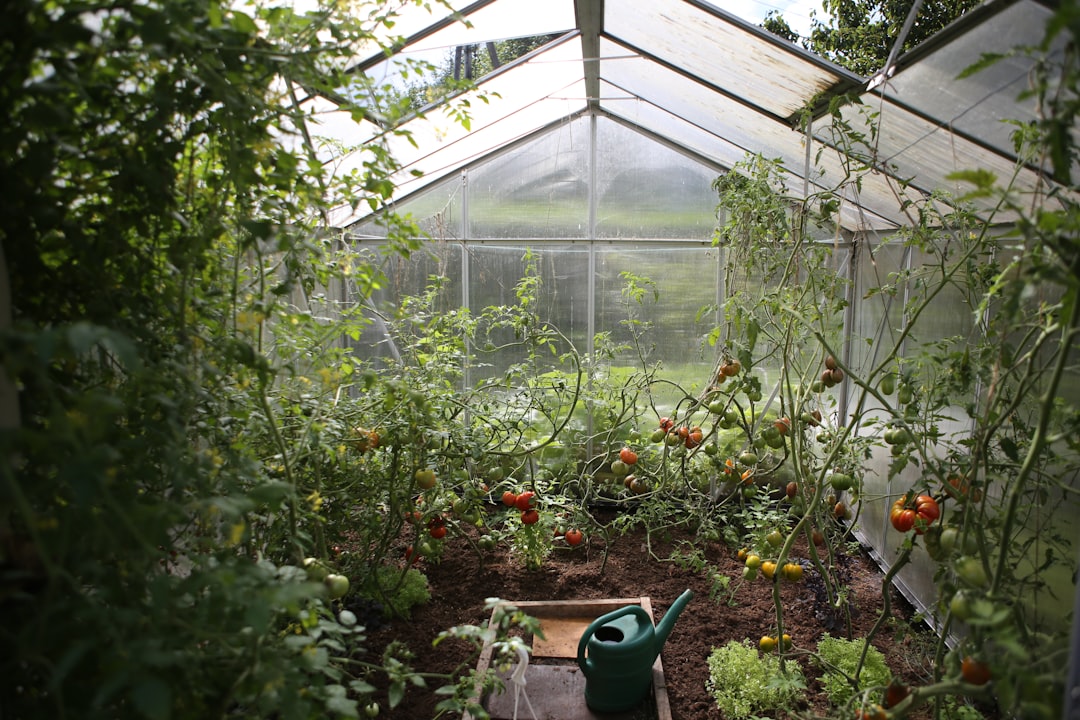 how did my backyard turn into a veggie jungle overnight?