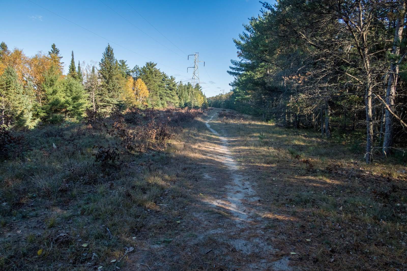 missing my hiking buddy in huron national forest
