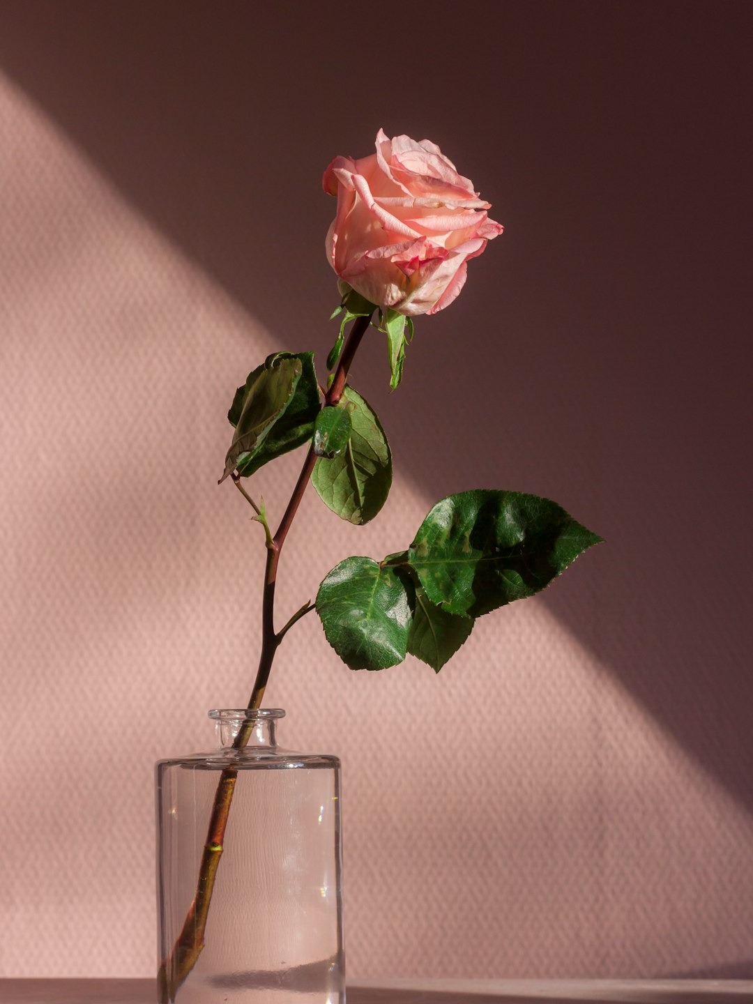 Be Nicer, Feel Happier—Here’s How!
