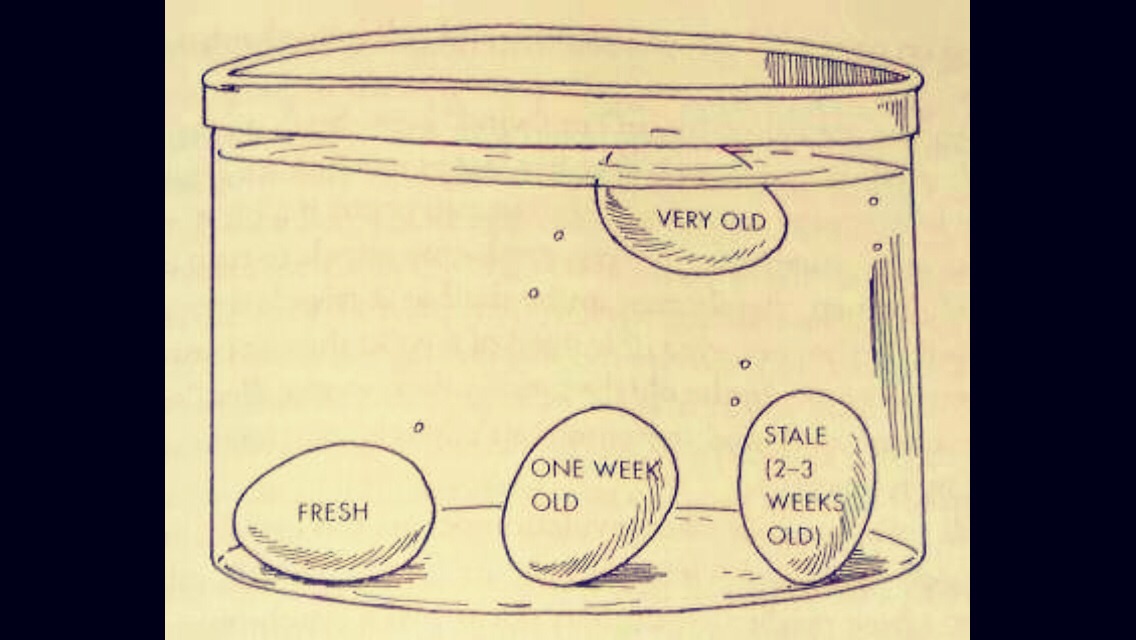 Did Anyone Else Learn the Egg-Lips Test from Their Parents?!