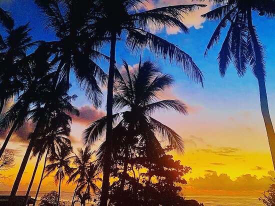 lamu, diani, or watamu: which kenyan coast spot is best?