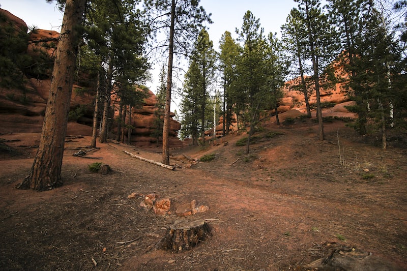 hiking in woodland park: trail mix disaster