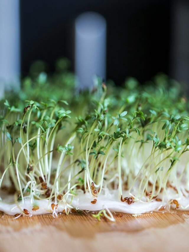 Veggies You Never Knew Were Superfoods