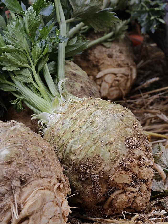 Veggies You Never Knew Were Superfoods