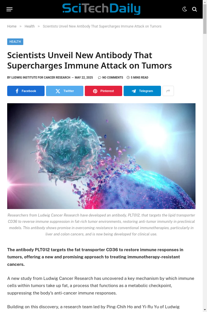 New Antibody Could Supercharge Cancer Immunity