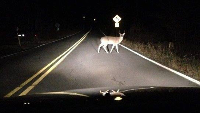 Dealing With Tailgaters: My Close Call on a Country Road