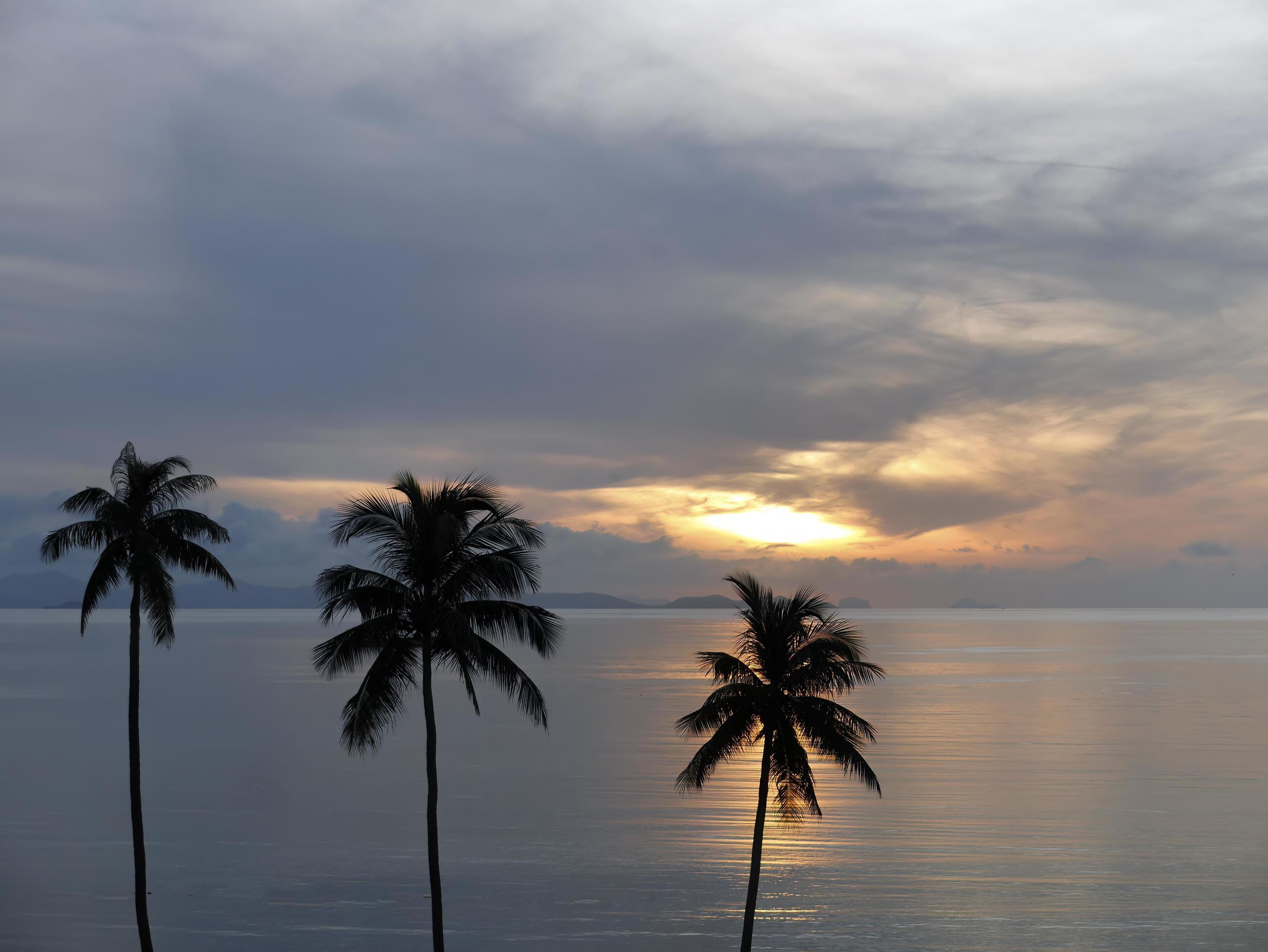7 Rules of Life: Simple Truths for a Happier You