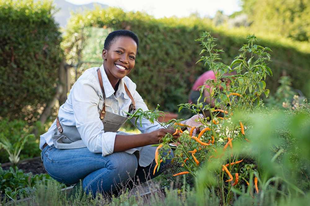 how did my backyard veggies turn into a kitchen takeover?