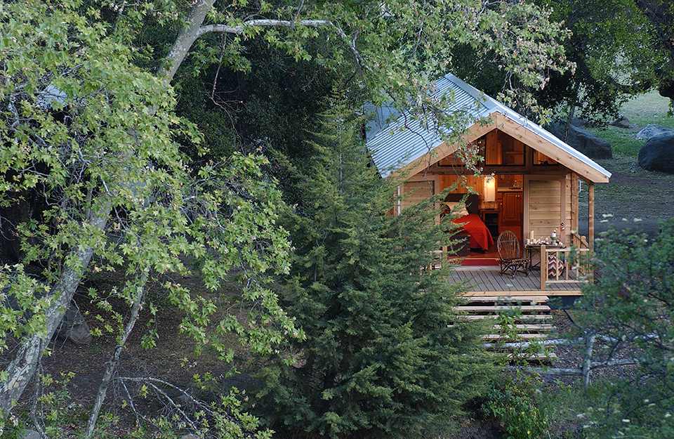 How a Solo Forest Retreat Changed My Life Forever