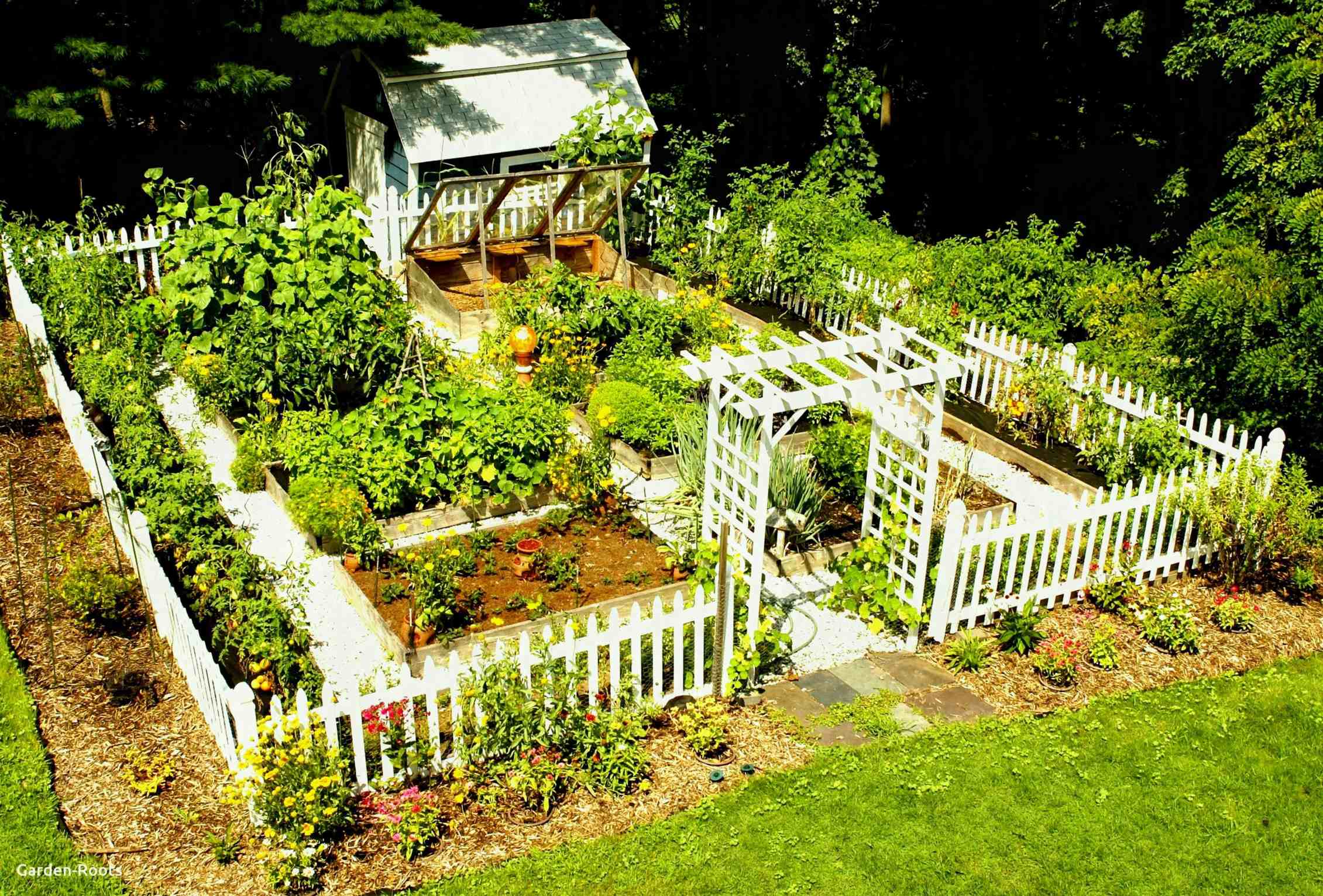 how did i end up growing tomatoes and questioning grocery prices?