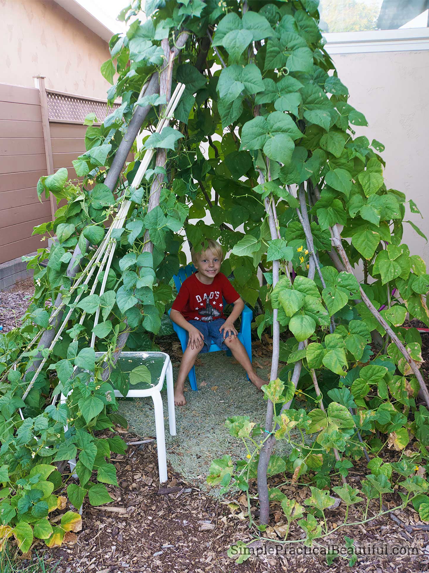 did my grandpa just invent the ultimate bean teepee garden hack?