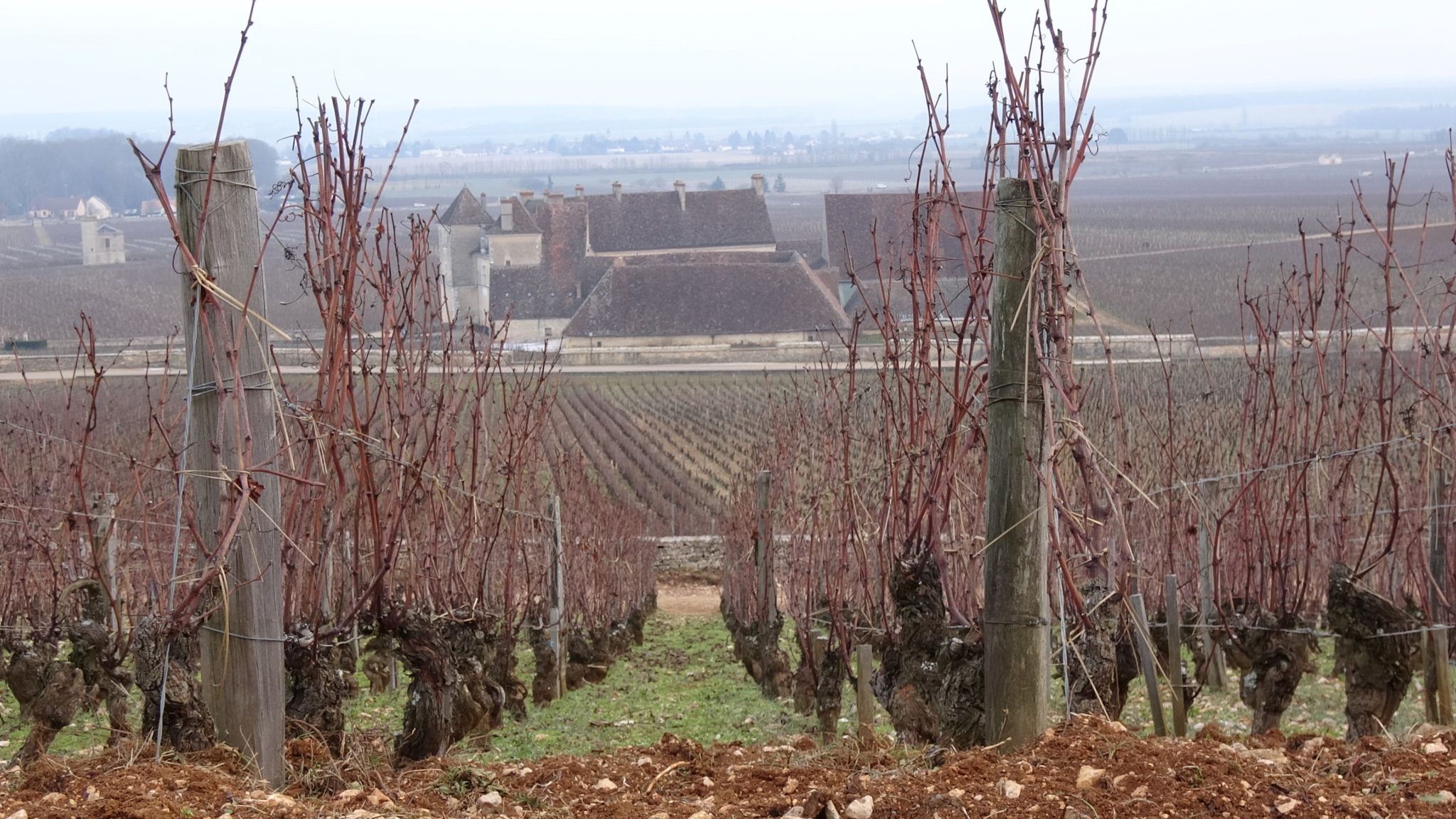 is burgundy wine tasting worth the hype for solo travelers?