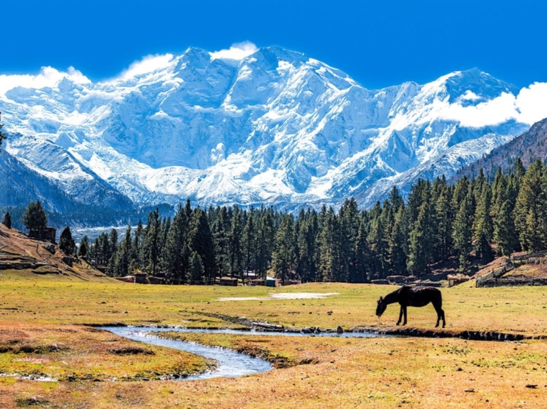 hiking fairy meadows: breathtaking views, but was it worth the struggle?