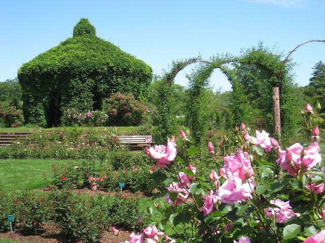 do travel rules clash with our garden traditions?